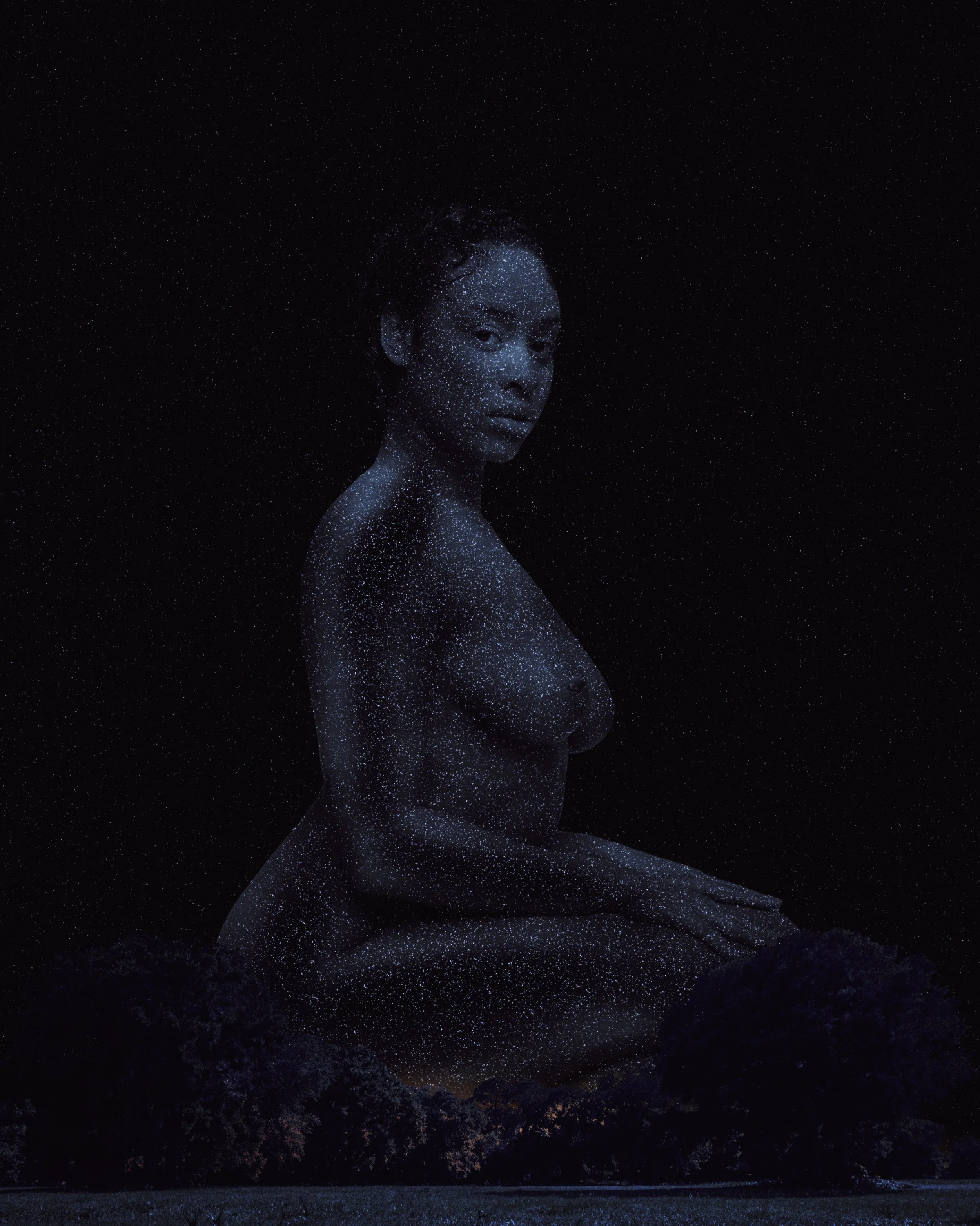 London Moonlight St pete trees.jpg