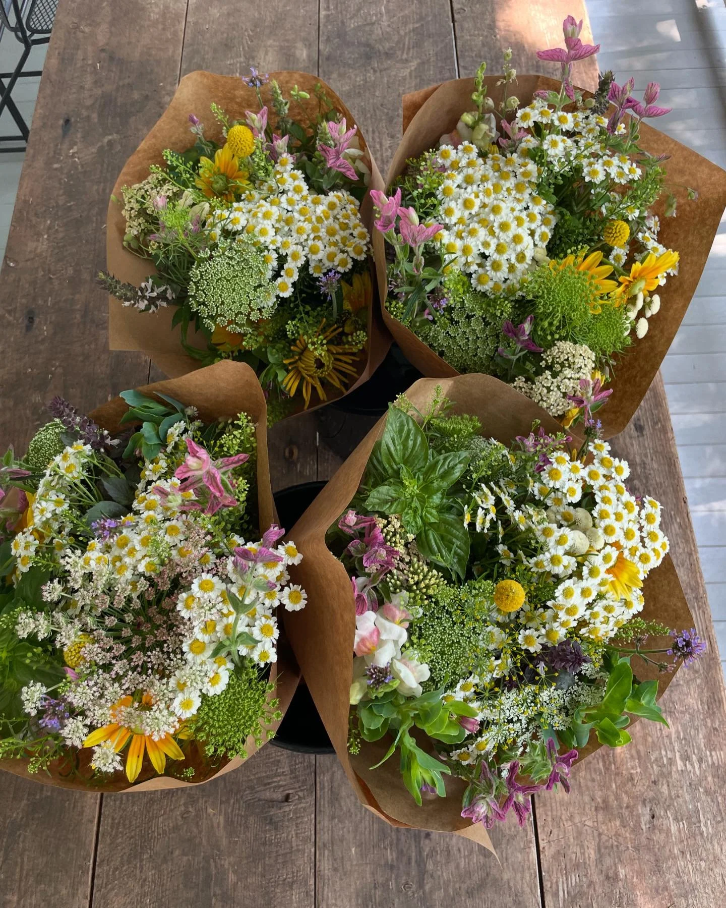 Happy 4th of July! These beauties are available @bellecville. The perfect addition to your cook out or if you need a hostess gift&hellip;or just some beauty for yourself. Lovingly grown right here in Charlottesville 💐
