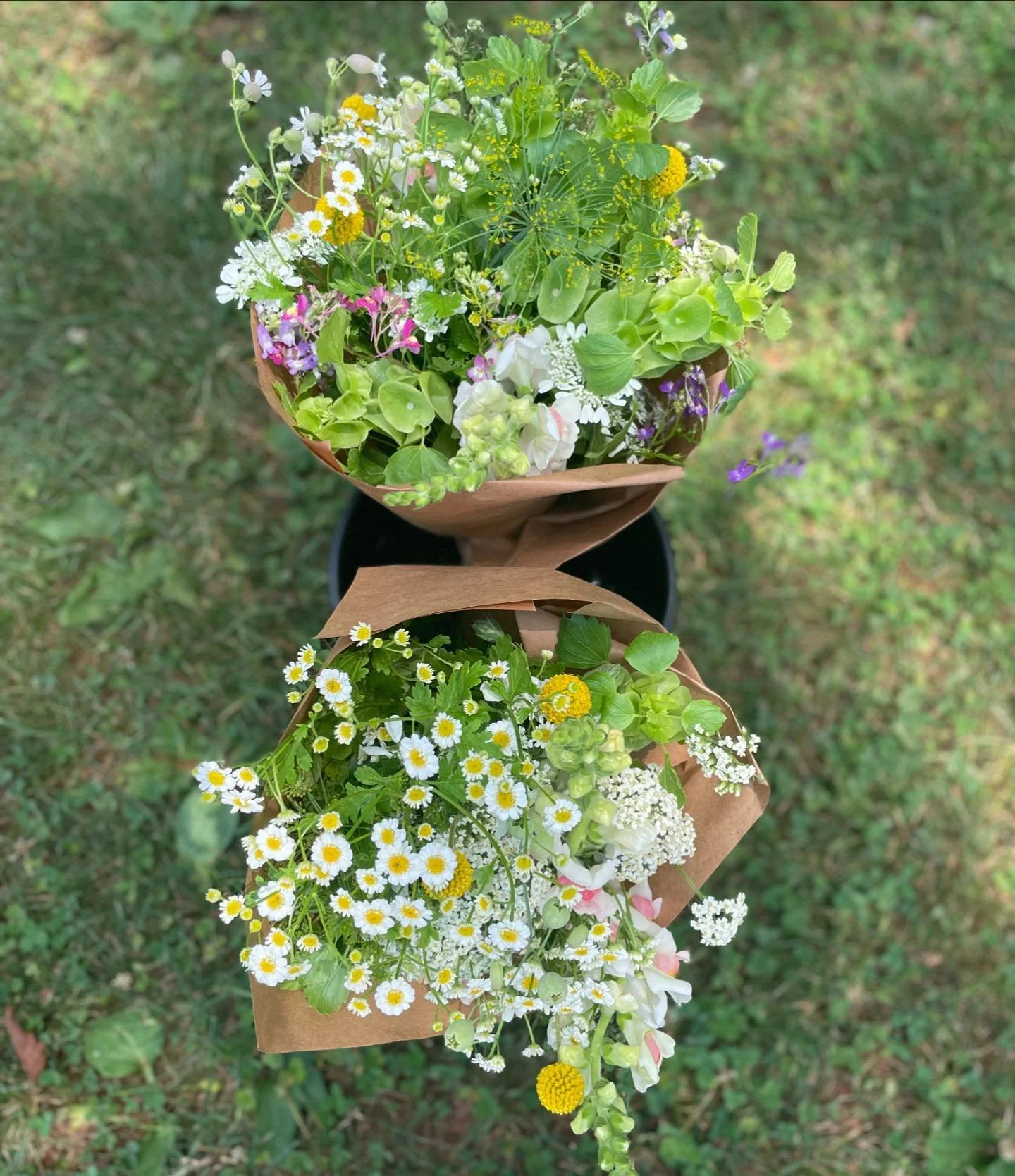 A little peak at the final product. Fresh from the field and ready for your table. Bouquets available at @bellecville this summer!