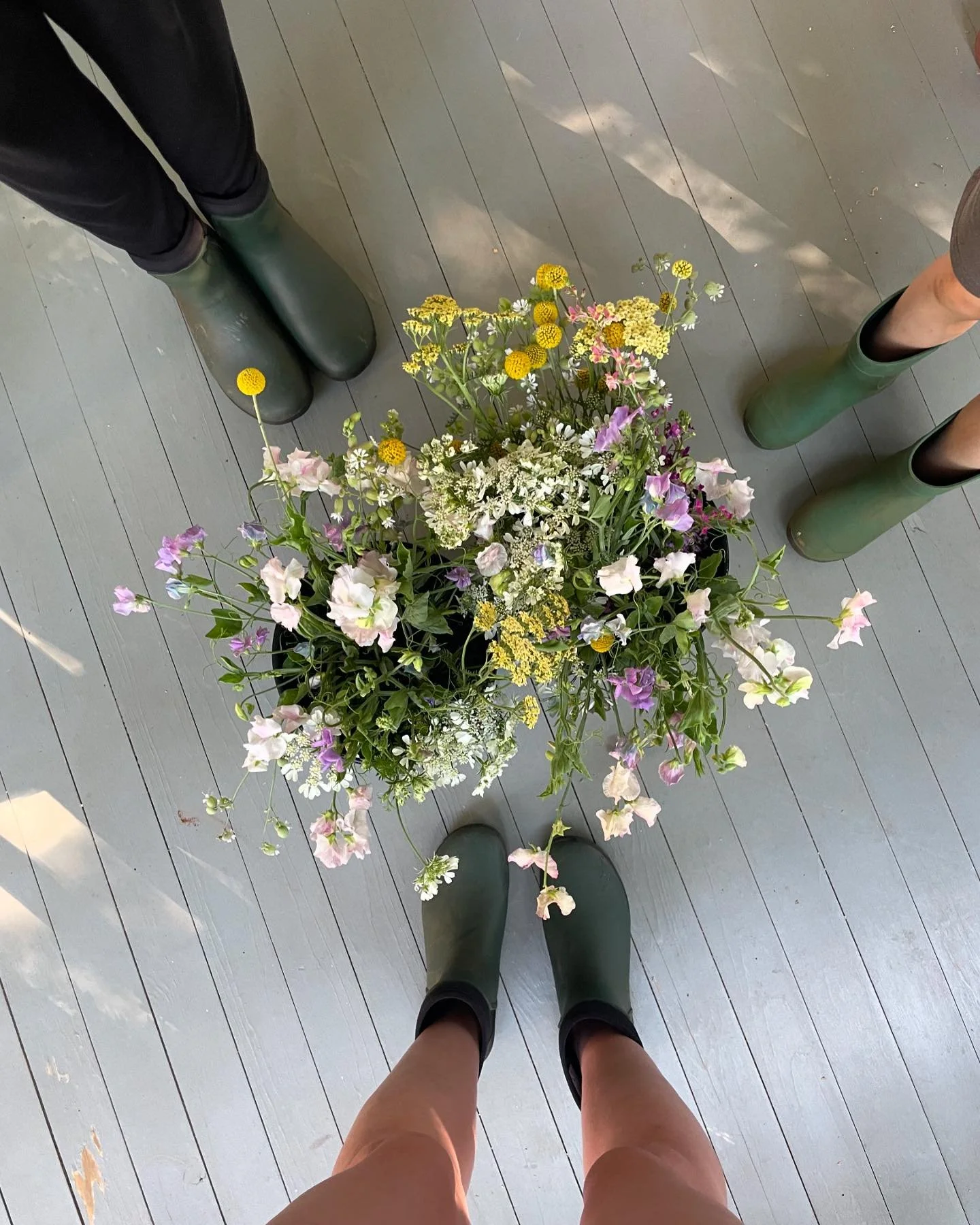 The summer blooms are starting to roll in and we&rsquo;re ready with our @bogsfootwear boots and our snips! Stay tuned, friends- we&rsquo;ll have you swimming in flowers!