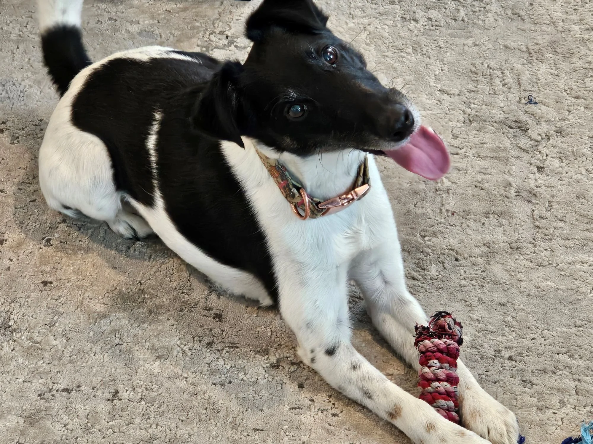 Bridger and his fav toy