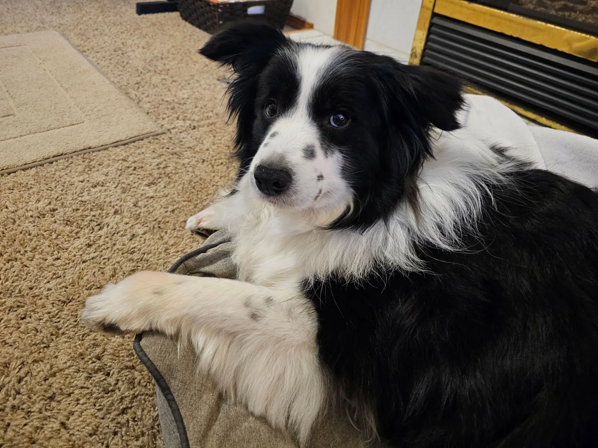 Tumble is always relaxed