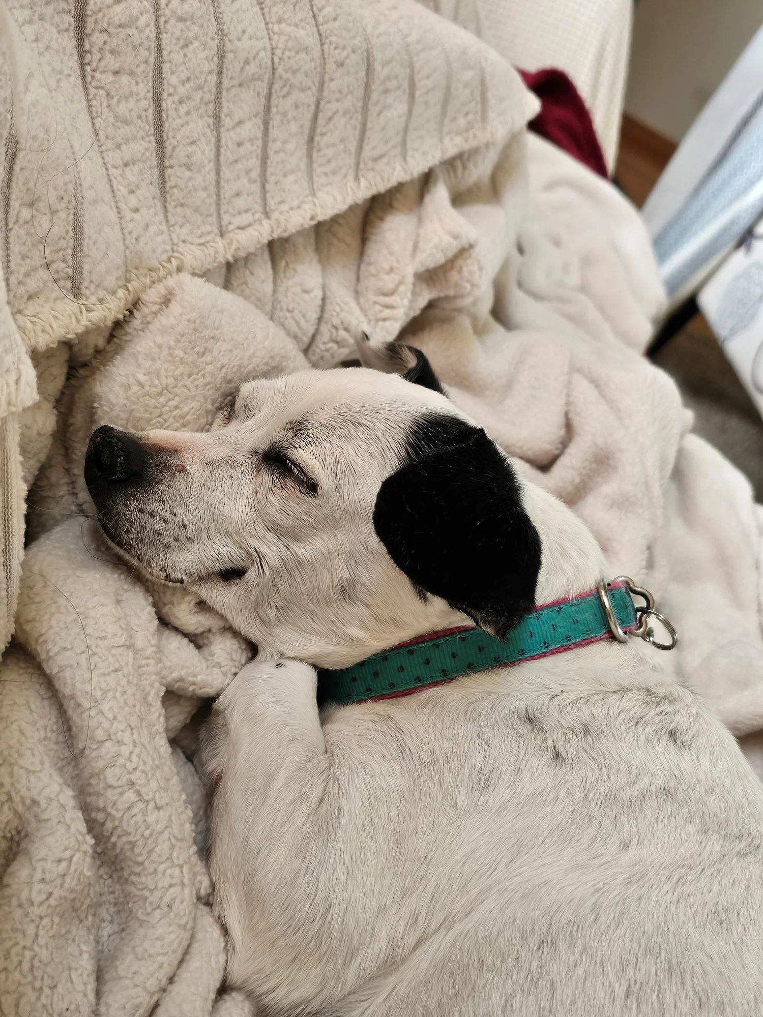 Minnie dreams of snacks