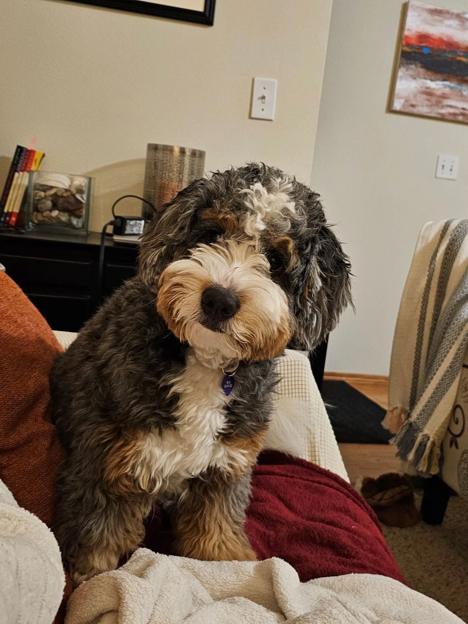 Daisy on Minnie's throne