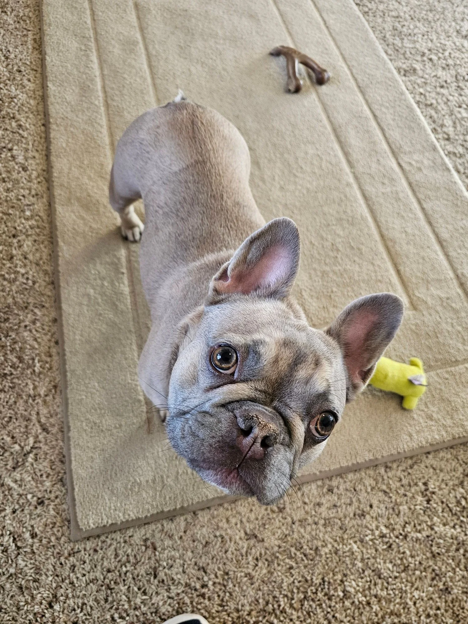 Izzy looks worried - but she's not!