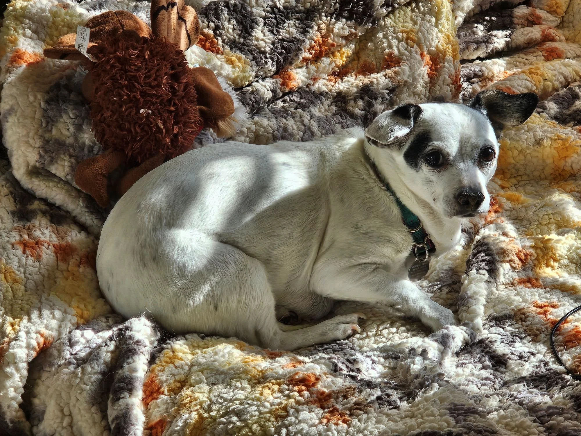 Minnie steals someone's bed