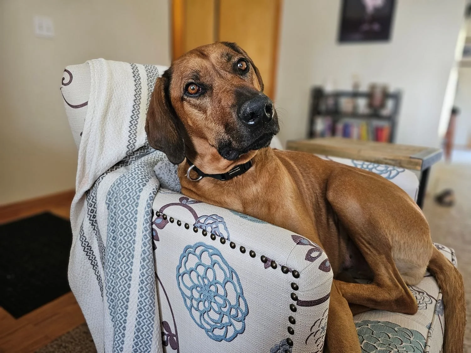 Max wants to know what's up
