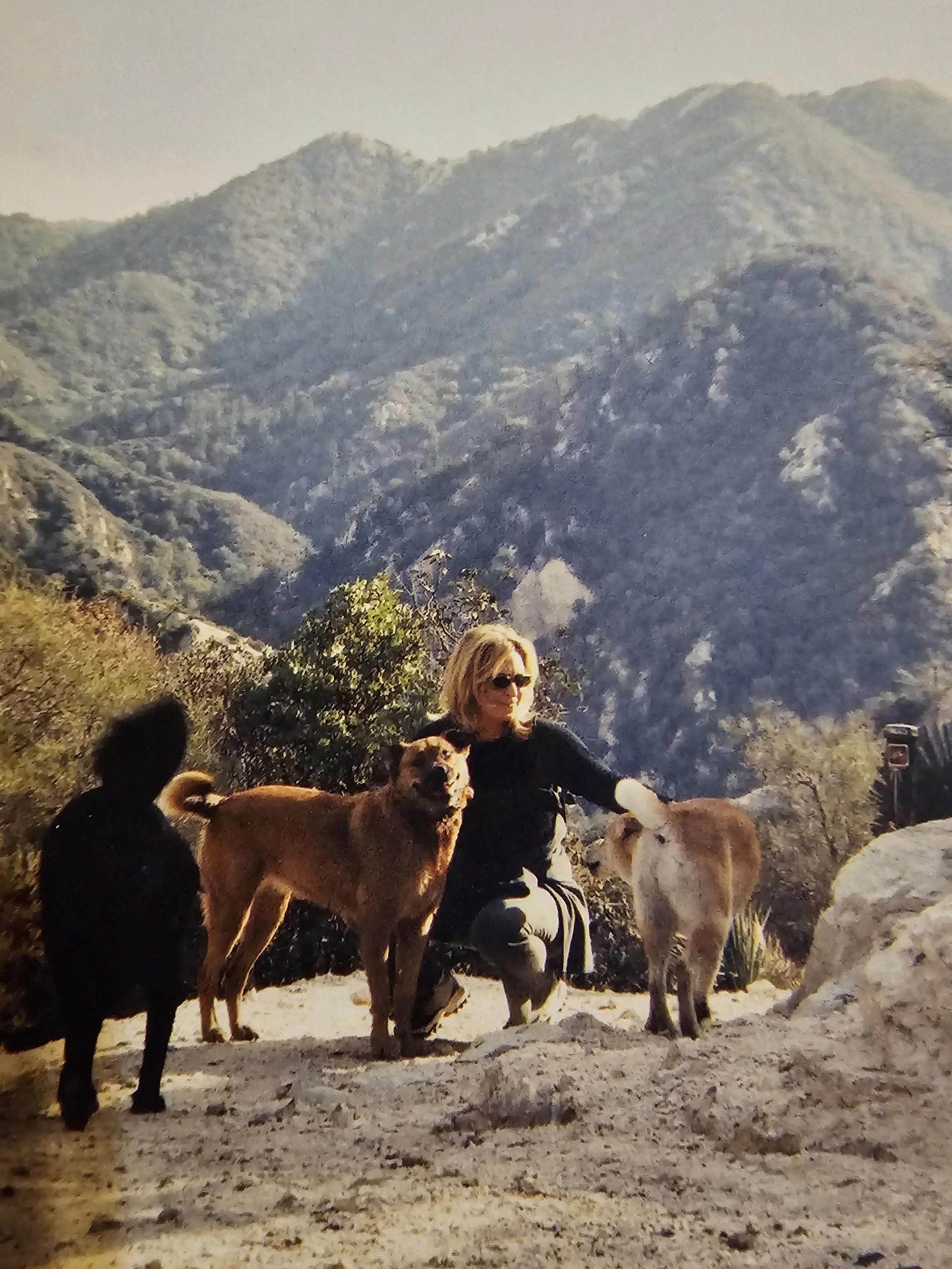 A woman with sunglasses kneeling in a mountainous outdoor setting, petting a light-colored dog while two other dogs stand nearby.