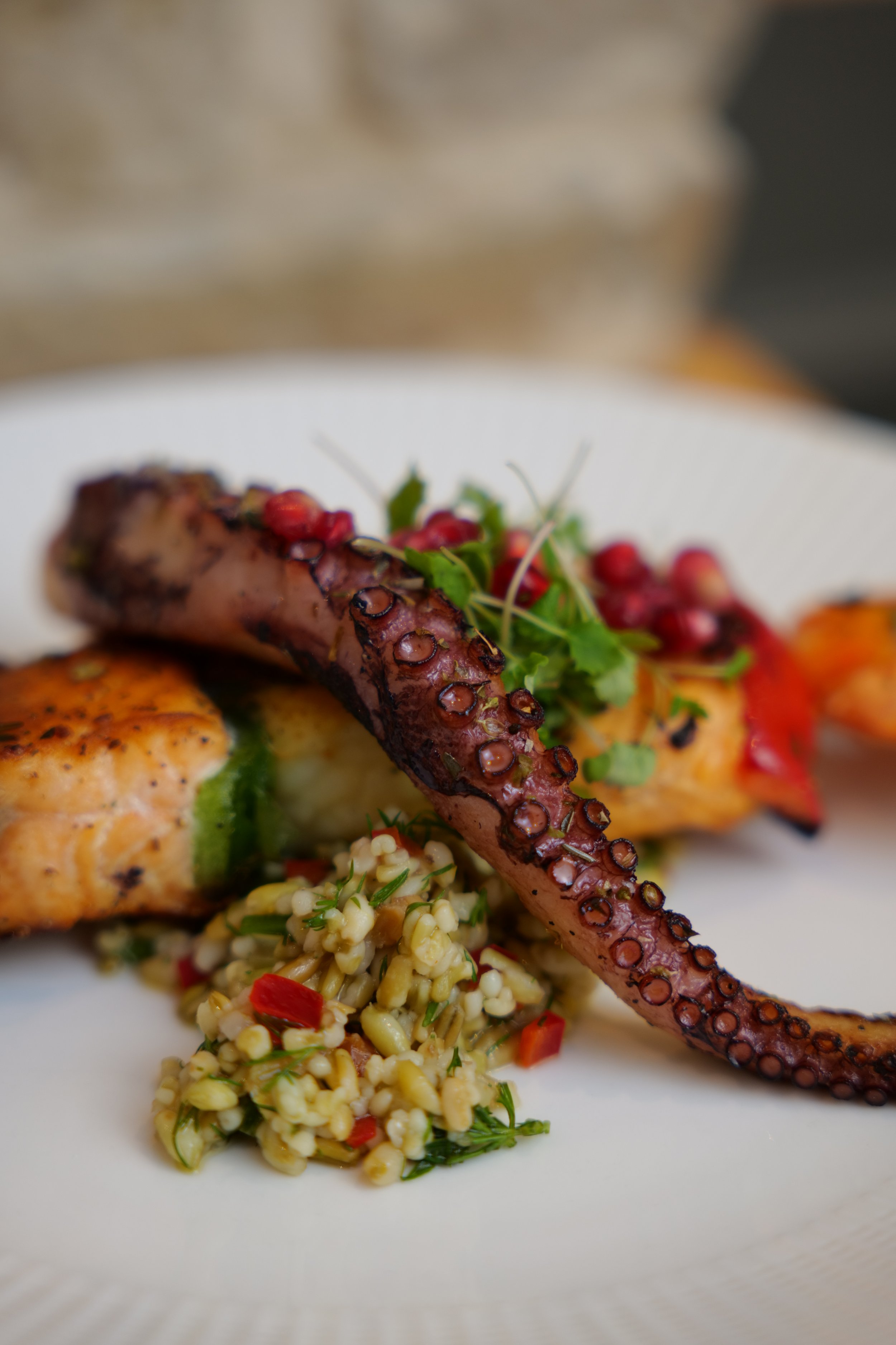 Photography restaurant content showing grilled octopus tentacle with a side of grain salad, greens, and roasted vegetables on a white plate for Allium Marketing's Bristol restaurant social media marketing client