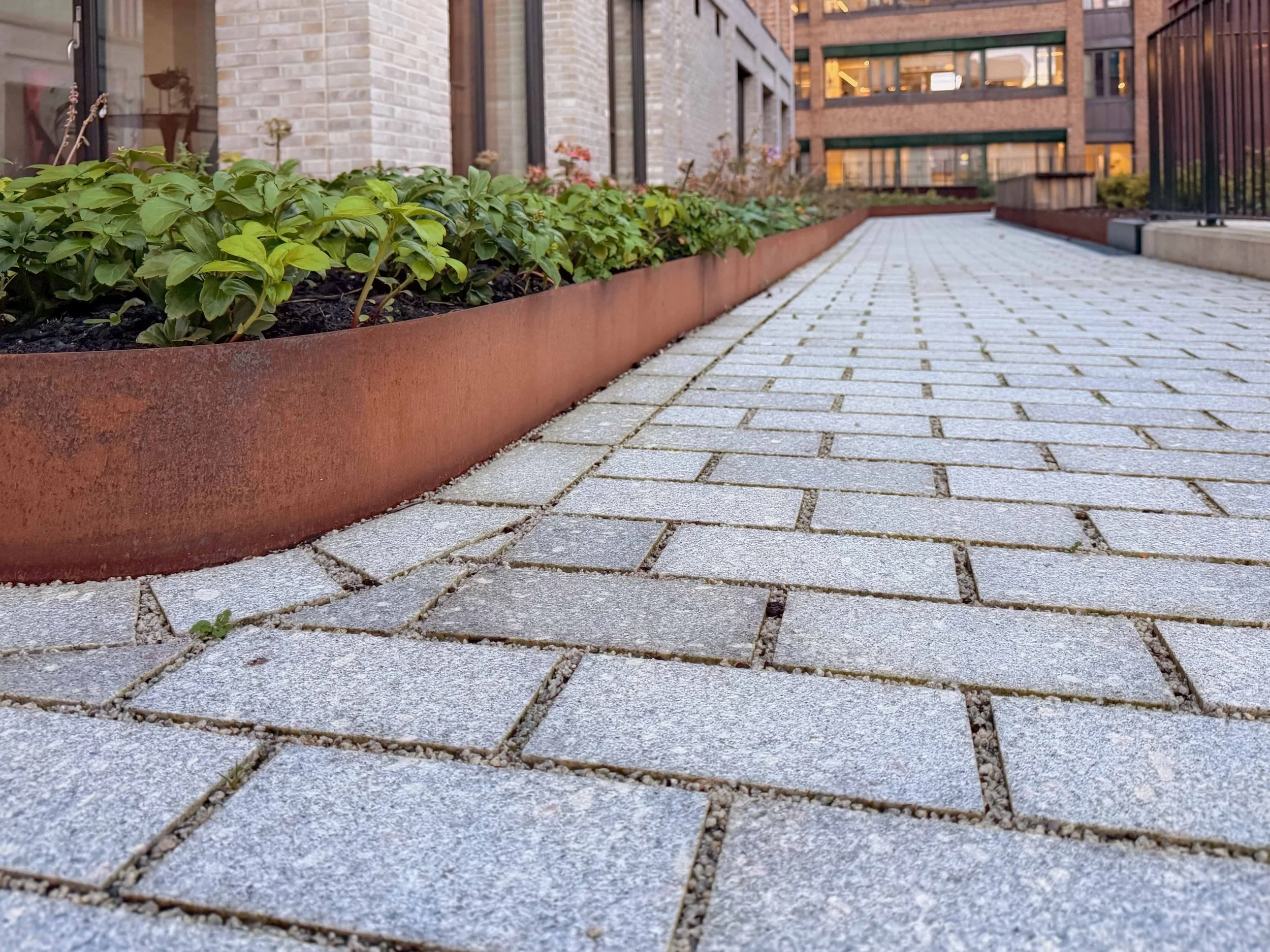 Grasrota Nordstein - bykronen fra sindre nov 2025 009.jpg