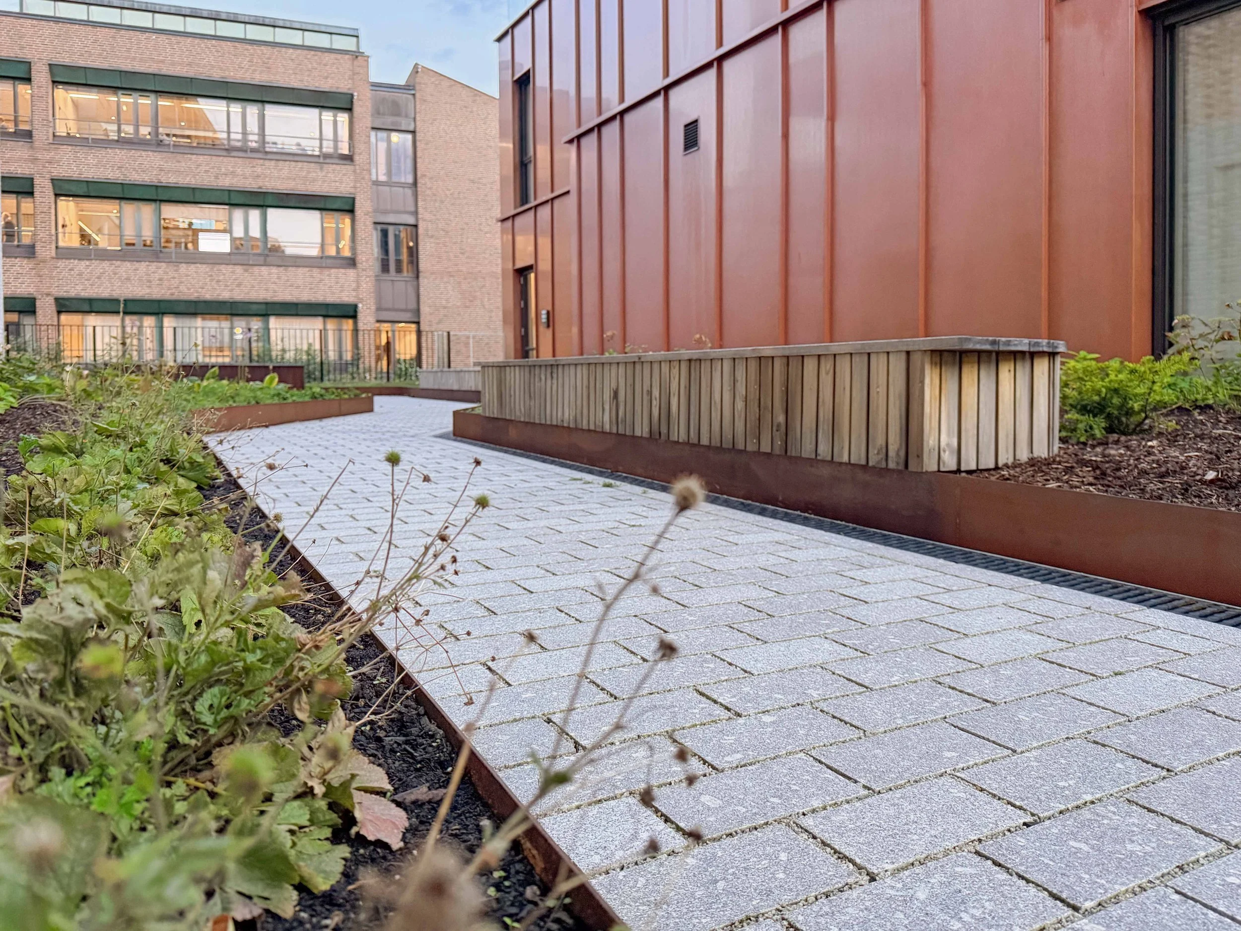 Grasrota Nordstein - bykronen fra sindre nov 2025 010.jpg