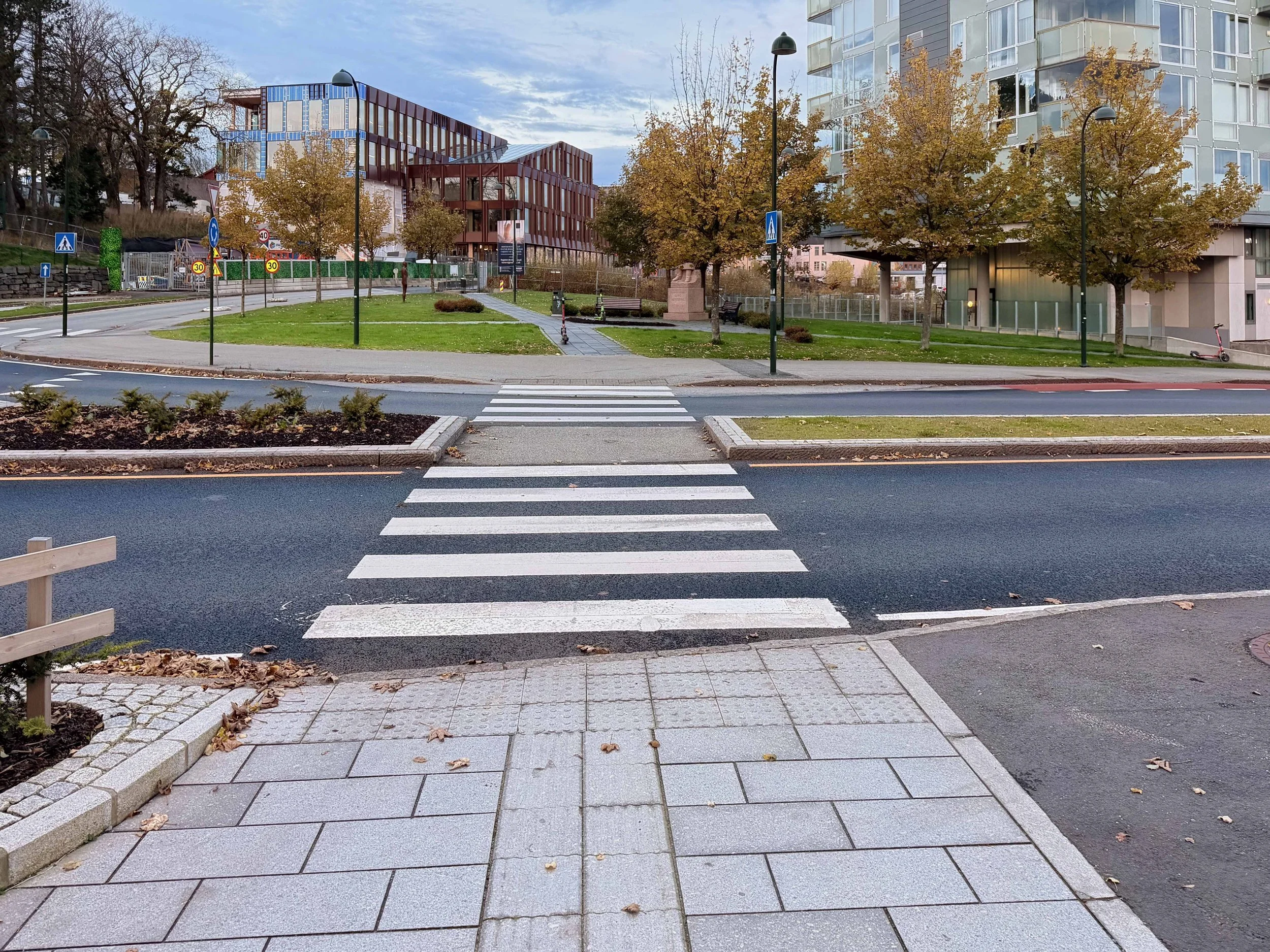 Grasrota Nordstein - bykronen fra sindre nov 2025 018.jpg