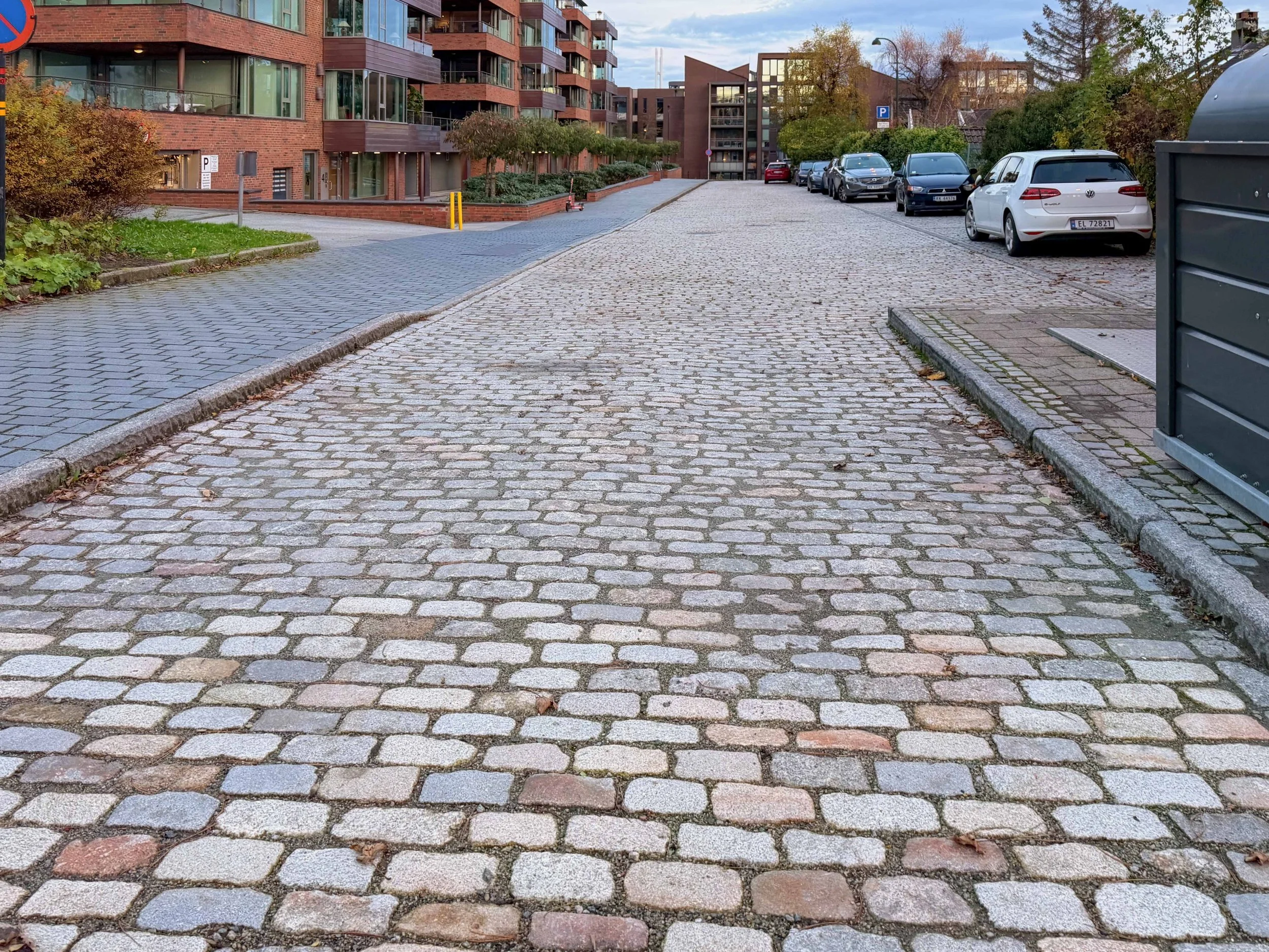 Grasrota Nordstein - bykronen fra sindre nov 2025 021.jpg