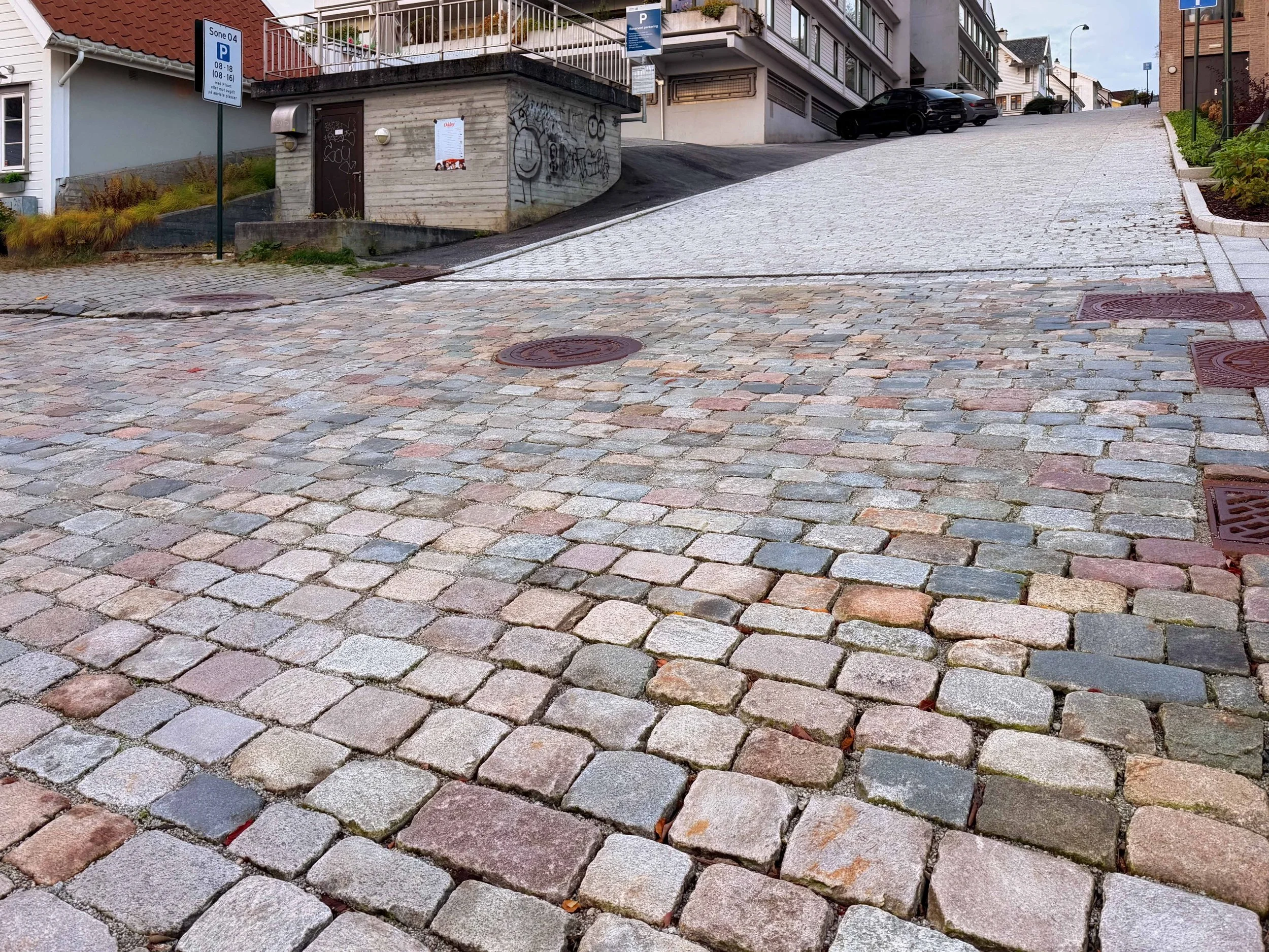 Grasrota Nordstein - bykronen fra sindre nov 2025 026.jpg