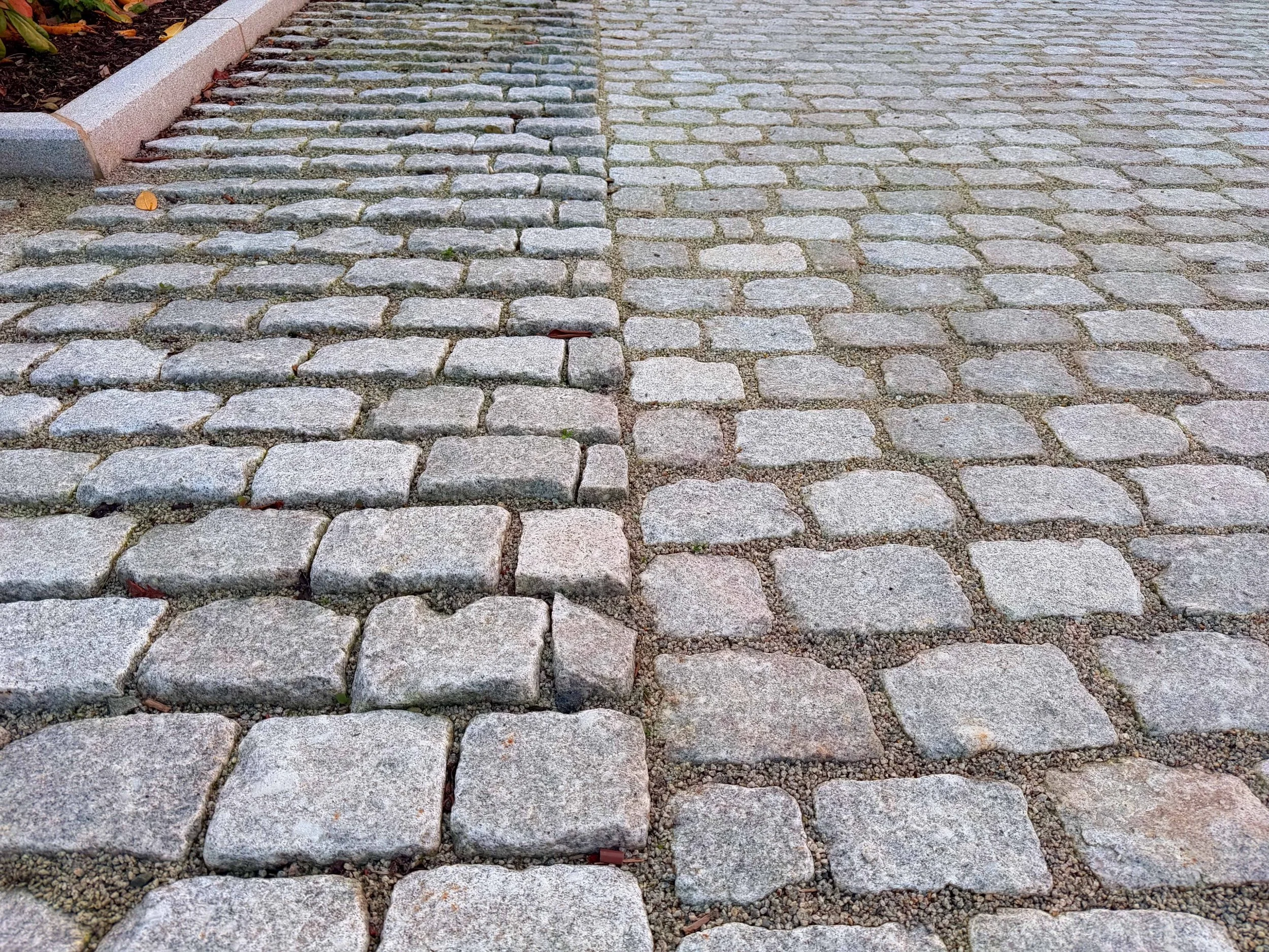 Grasrota Nordstein - bykronen fra sindre nov 2025 027.jpg