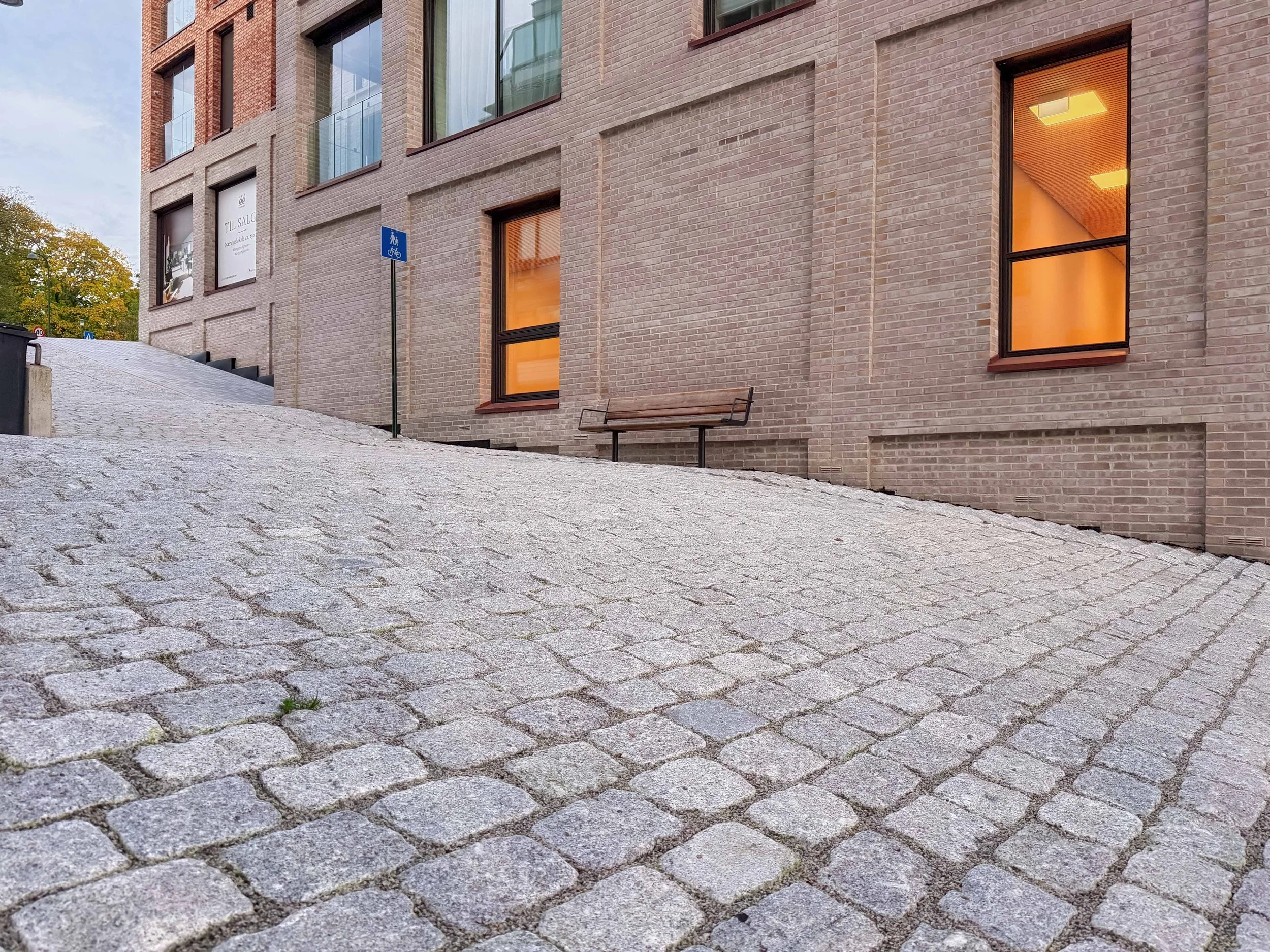 Grasrota Nordstein - bykronen fra sindre nov 2025 029.jpg