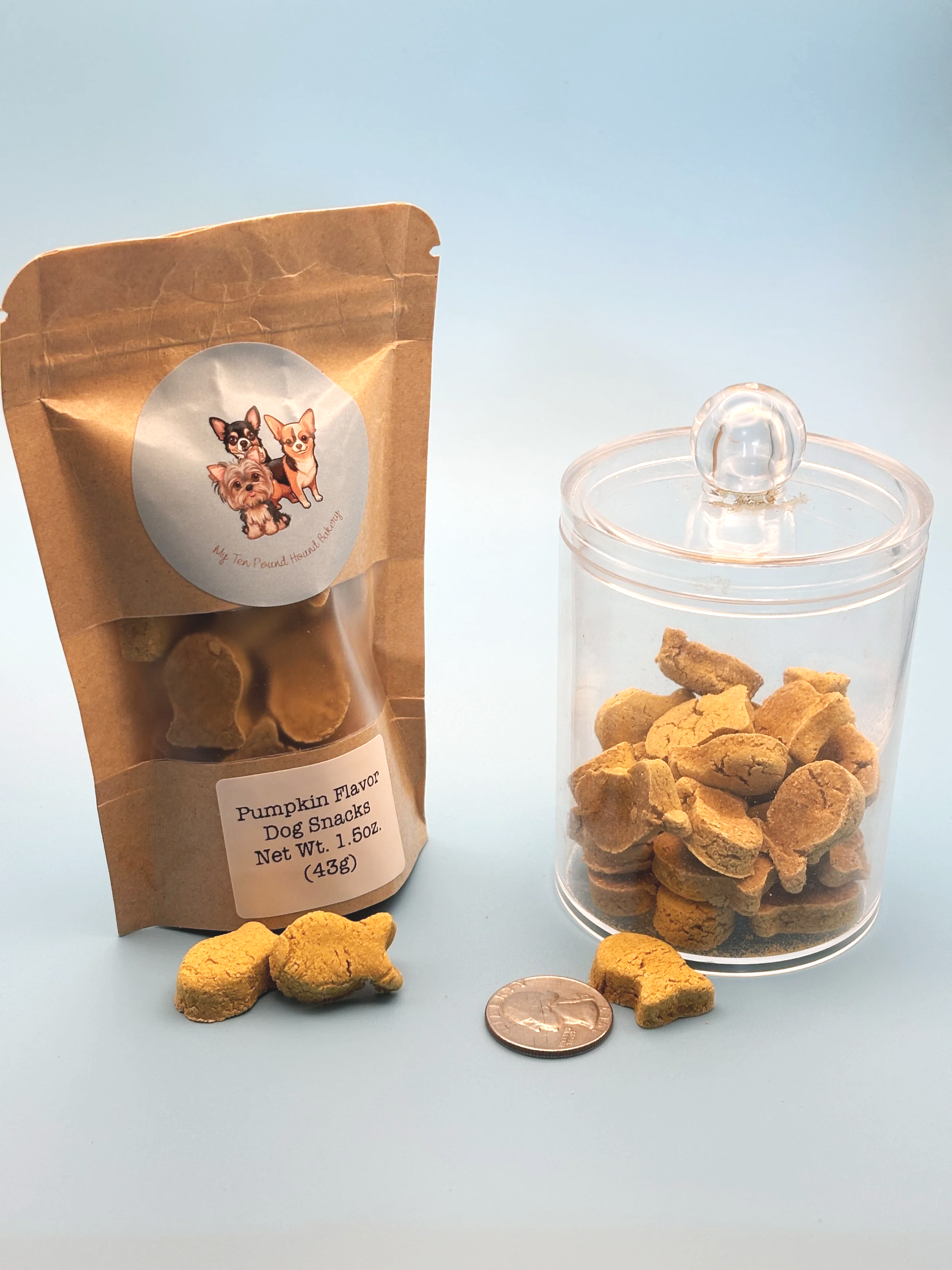 Pumpkin Flavor Snack-goldfish