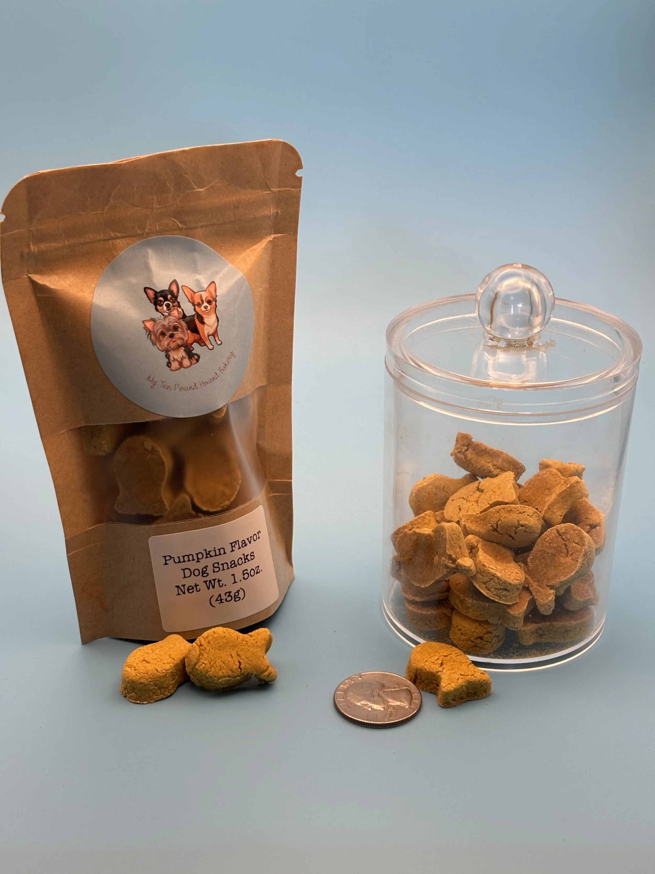 Pumpkin Flavor Snack-goldfish