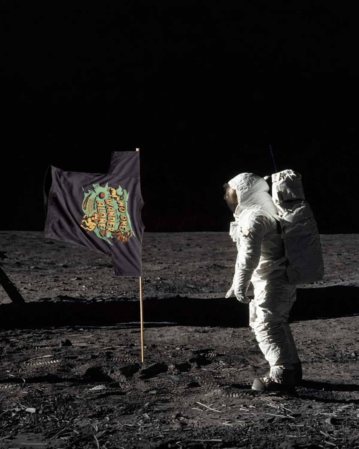 NOLO_Space_Moon_tall.jpg