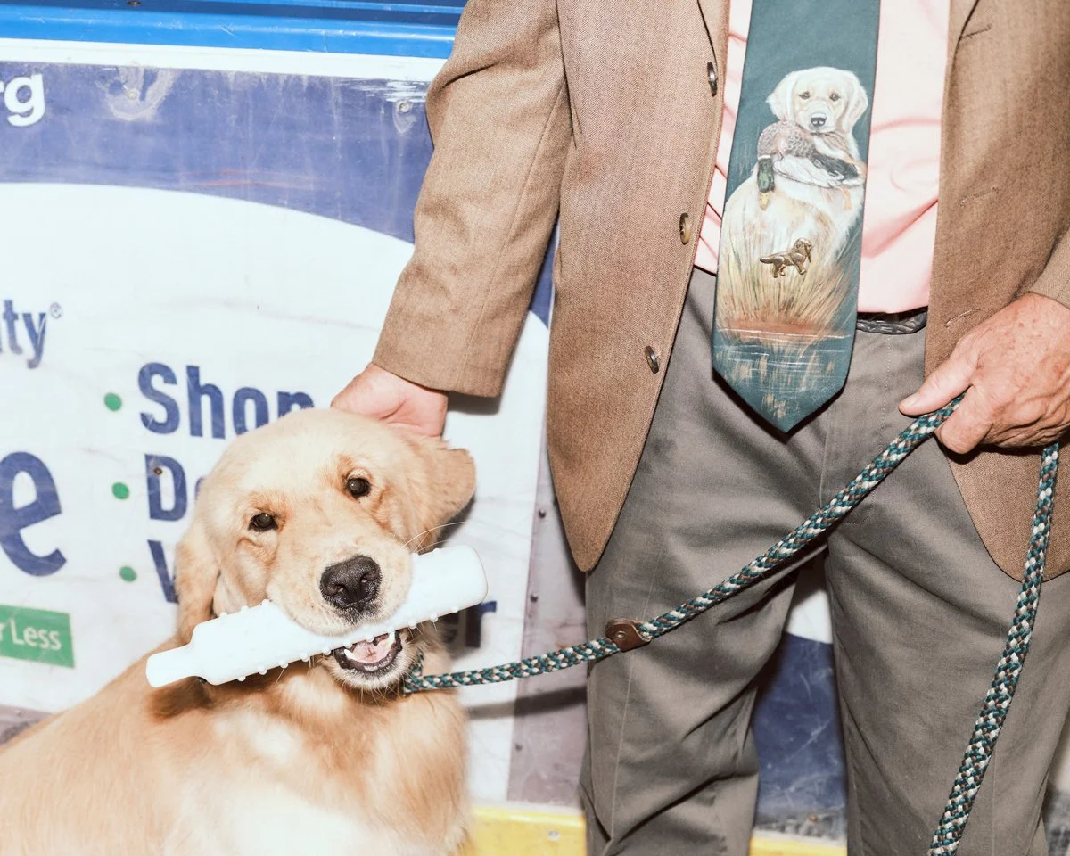 best-in-show--255.jpg