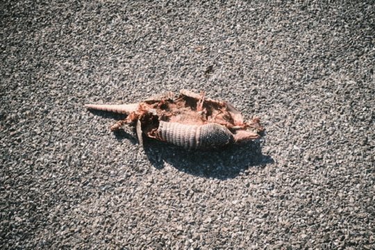 374DE837-6552-4672-A167-A6C501D17D3E_4_5005_c.jpeg