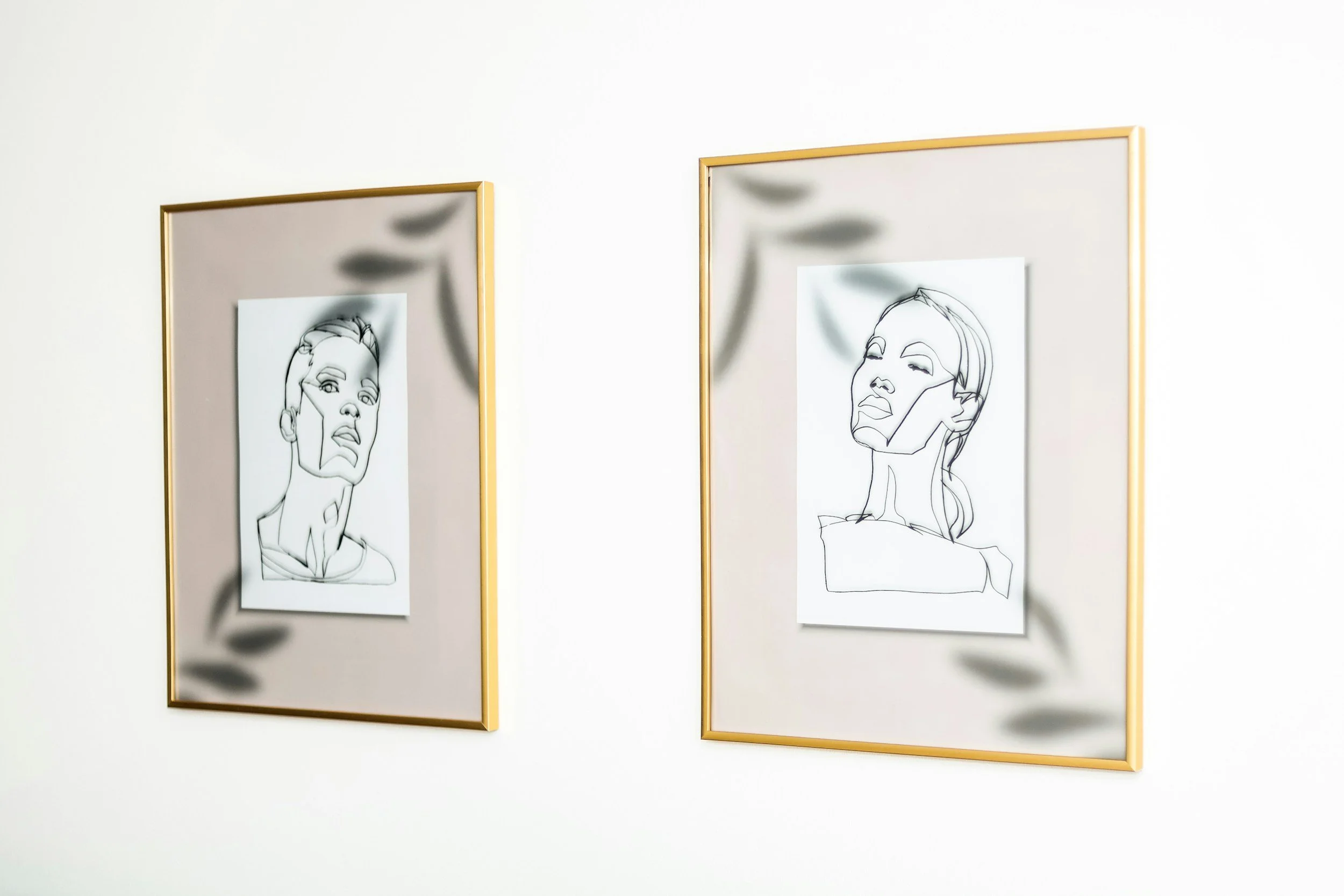 Two minimalist line art portraits of women in gold frames on a white wall, with shadows of leaves cast on the photos.