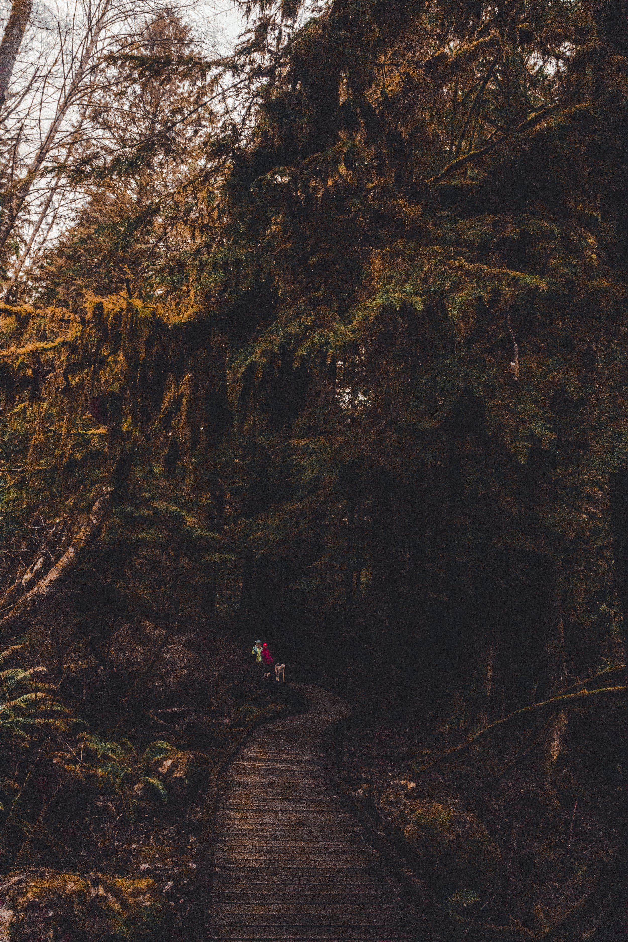 FIND YOUR WAY HOME-2.jpg