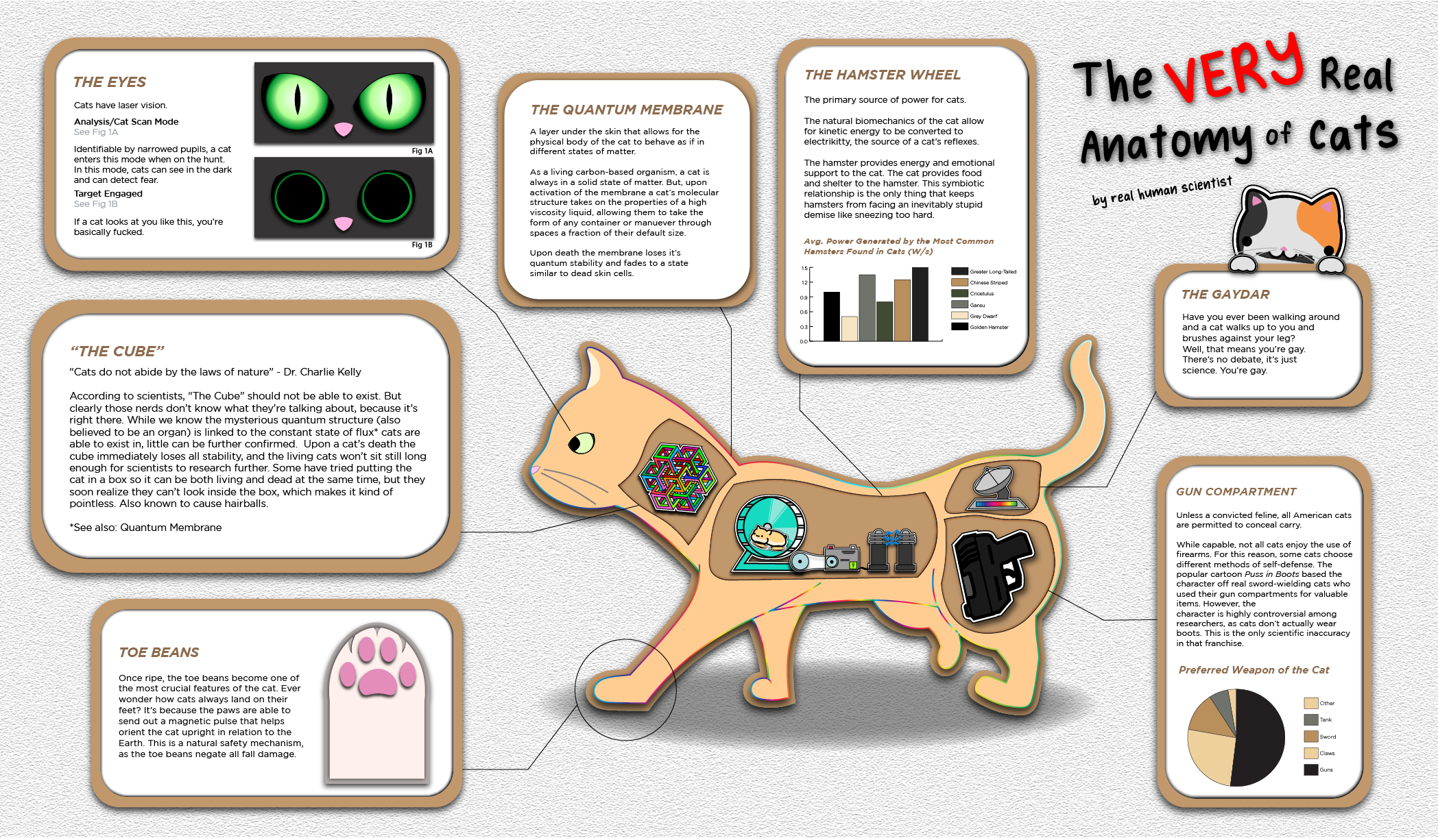 the true anatomy of cats_Artboard 1.png