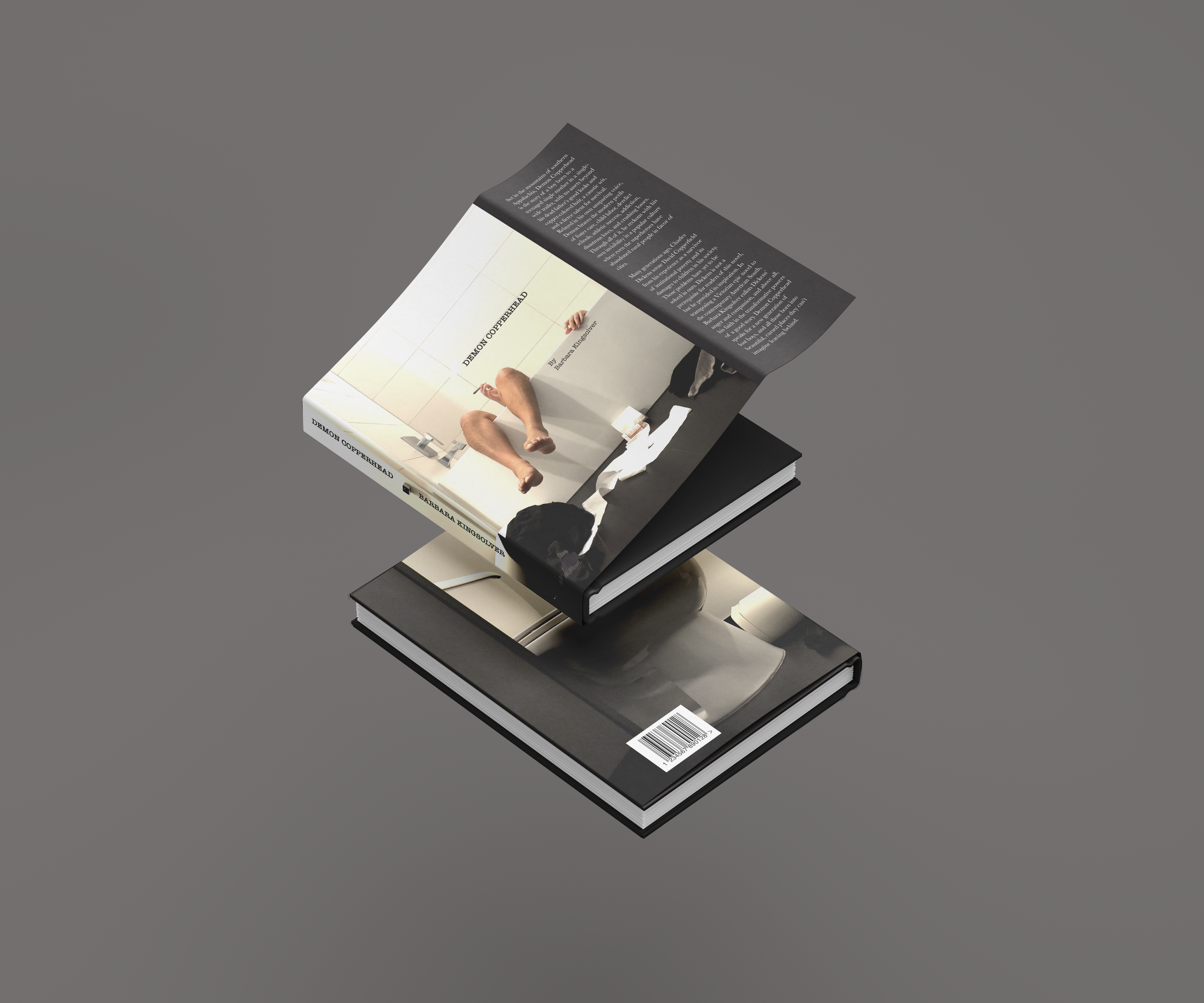 dh full mockup.png
