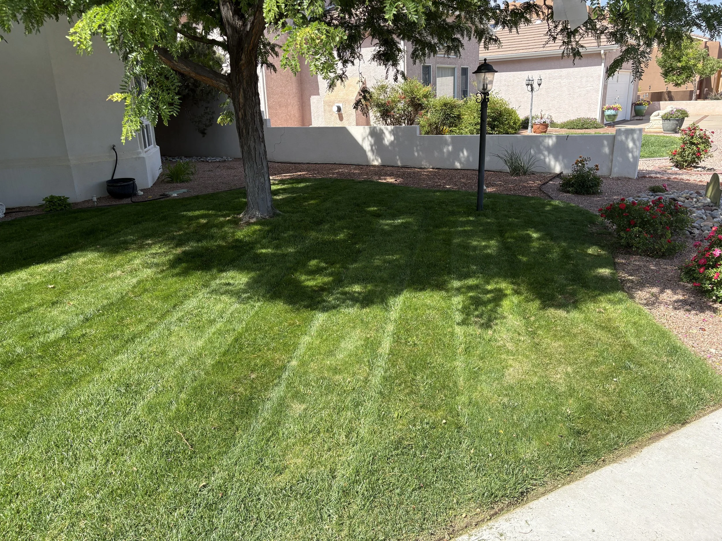 Lawn Mowing Service