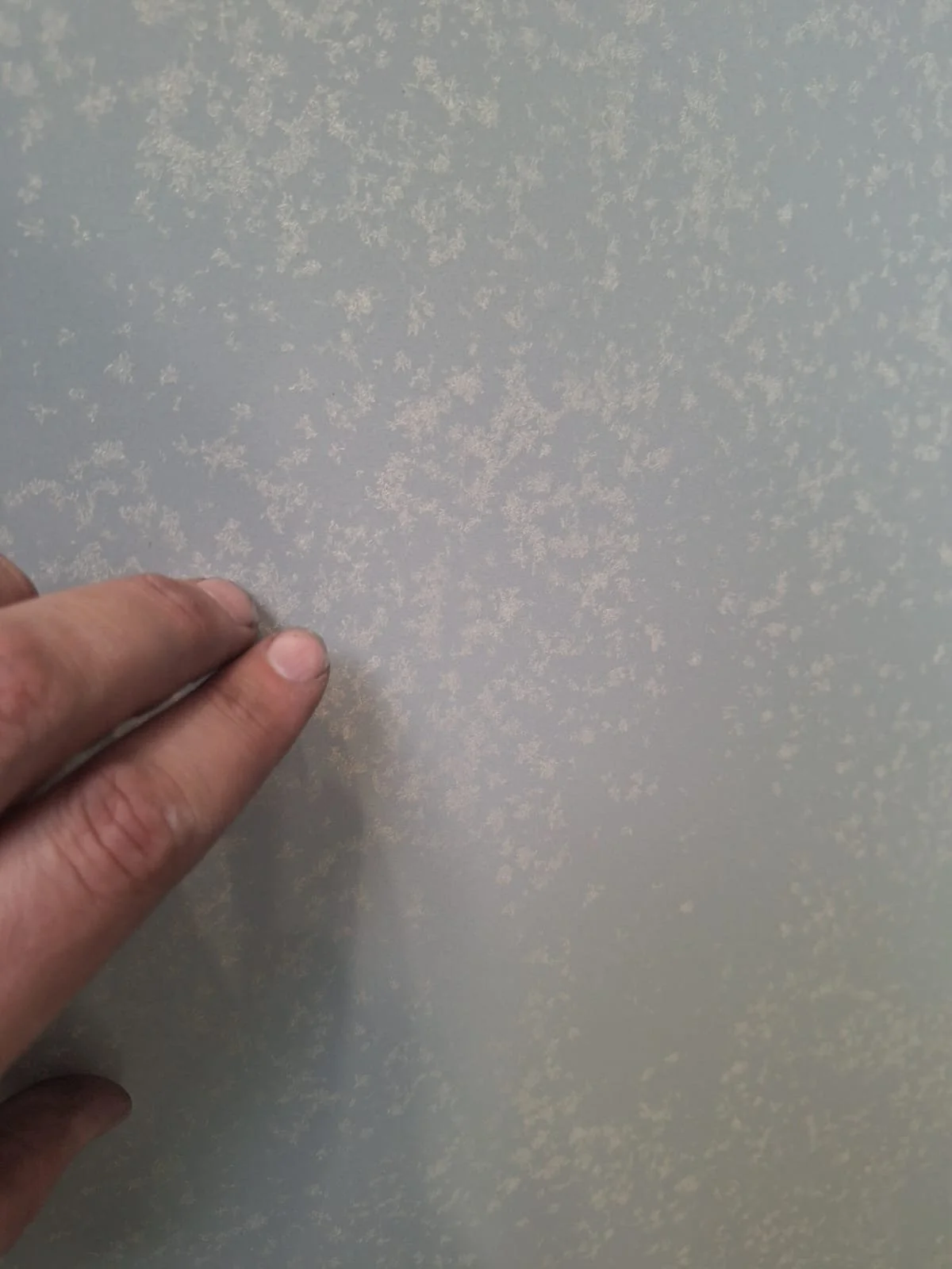 WhatsApp Image 2025-08-18 at 18.00.17.jpeg