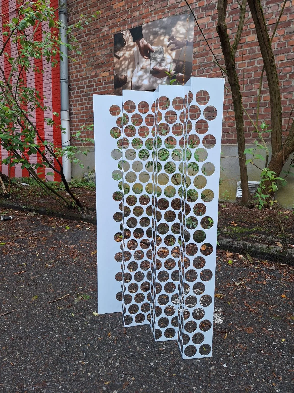 WhatsApp Image 2025-08-18 at 18.00.24.jpeg