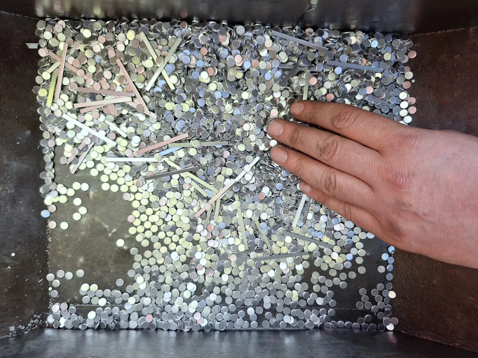 WhatsApp Image 2025-08-18 at 18.00.09.jpeg