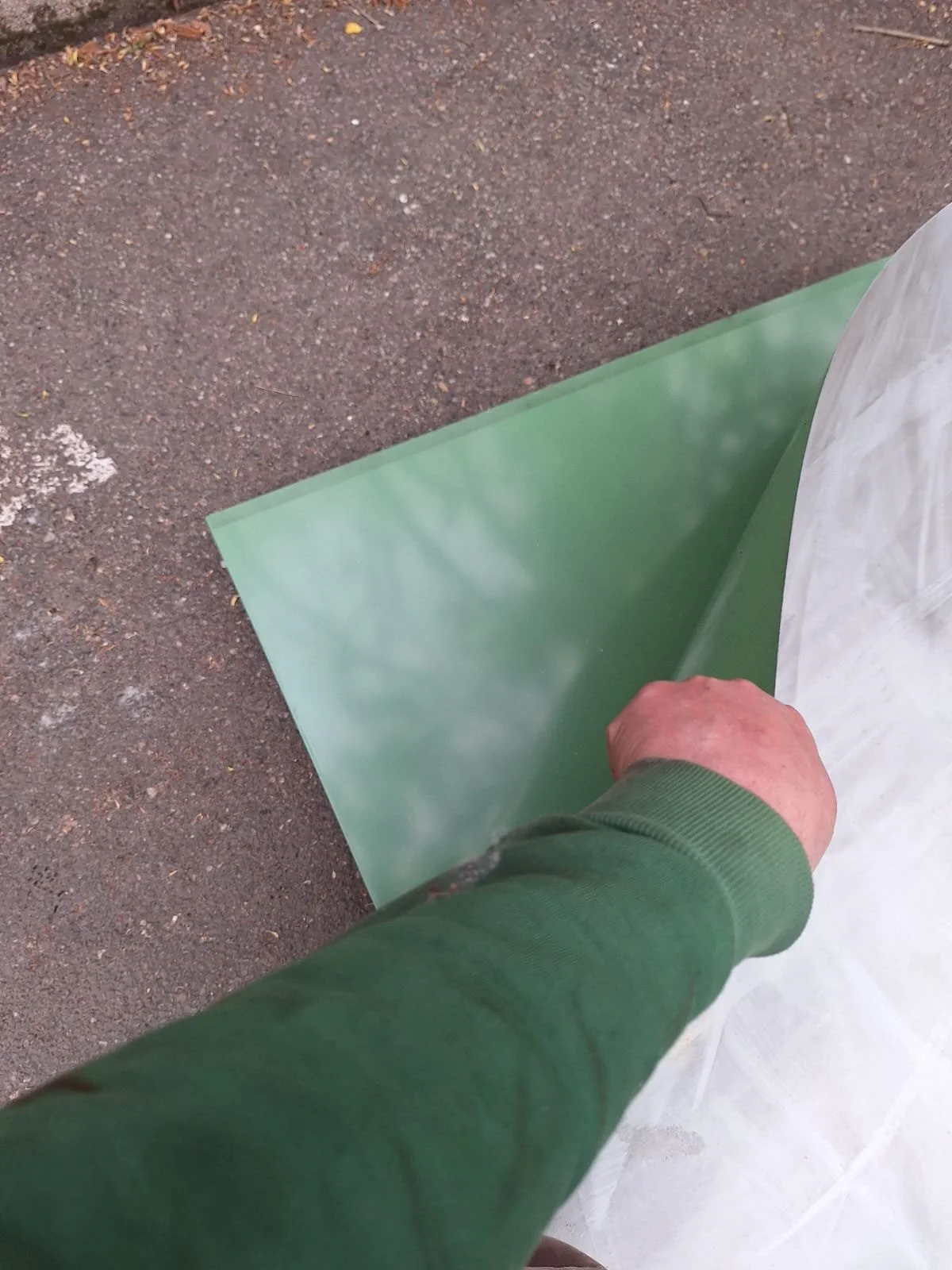 WhatsApp Image 2025-08-18 at 18.00.11.jpeg