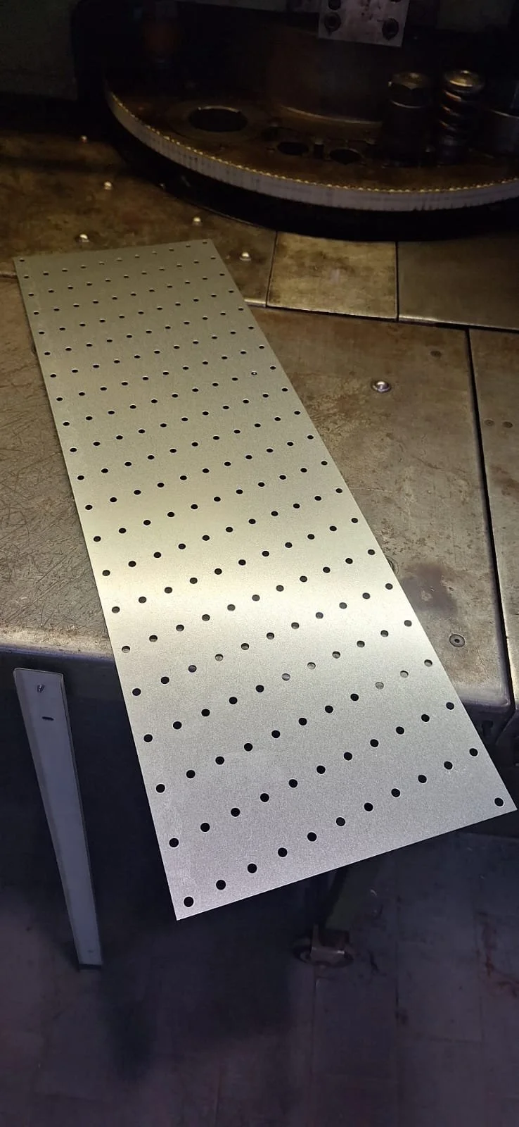 WhatsApp Image 2025-08-18 at 16.40.09 (3).jpeg