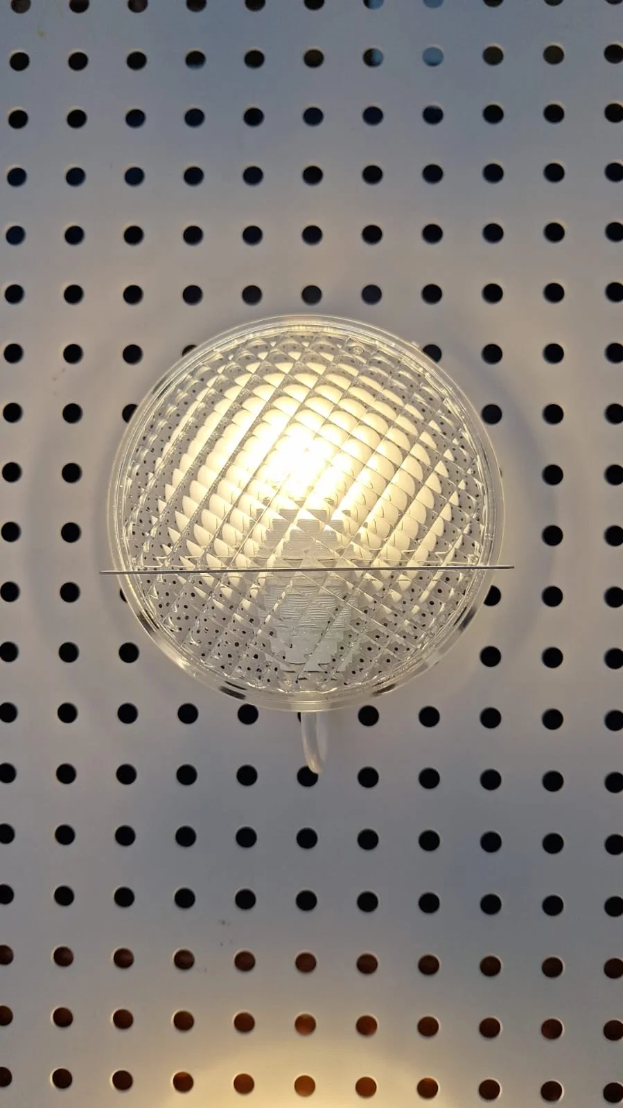 WhatsApp Image 2025-08-18 at 16.40.04.jpeg