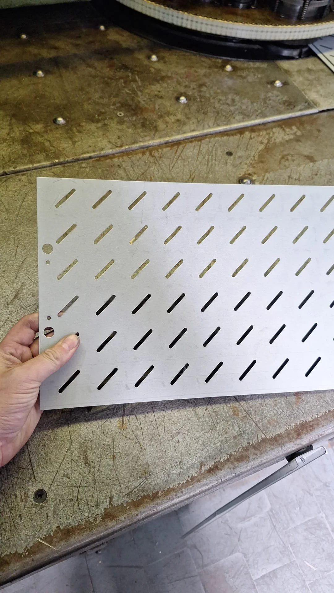 WhatsApp Image 2025-08-18 at 18.00.32.jpeg