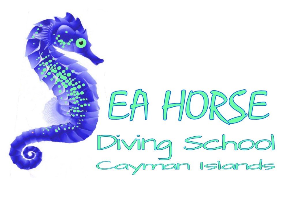 Seahorse Diving School