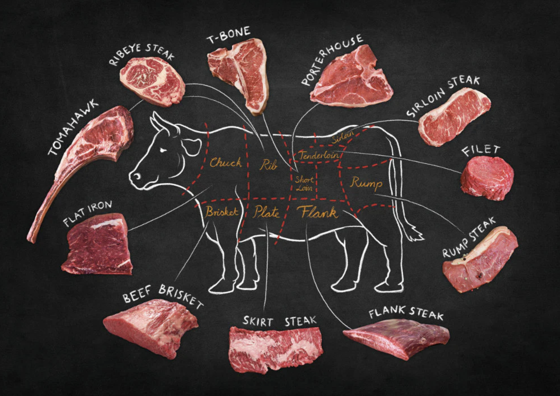 Beef Cuts Chart Good Carnivore Beef Cuts Chart Good Carnivore