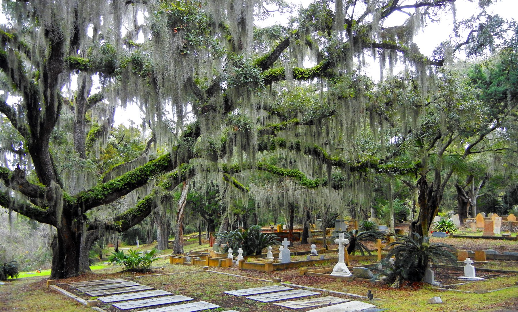 Spookiest Cemeteries: Discover America’s Most Haunted Cemeteries