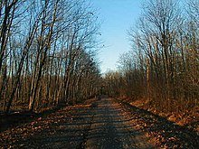 True Ghost Stories: Real Haunted Roads and Highways