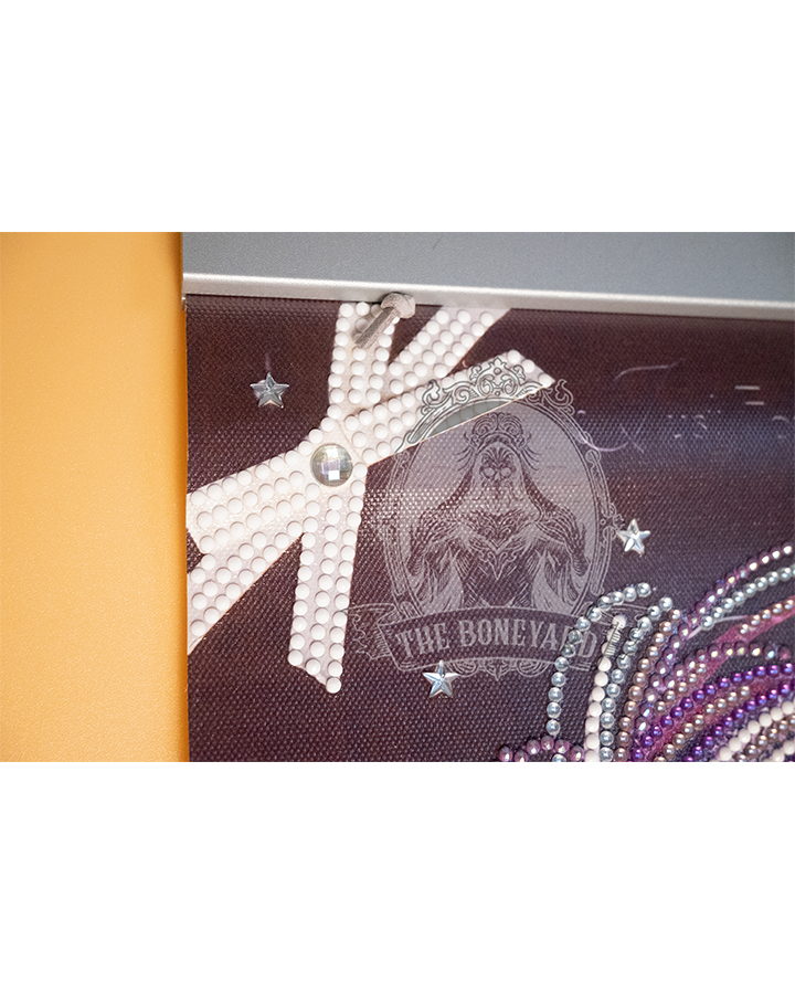 FancyLady_Gossimer_Detail_3@0.3x.png