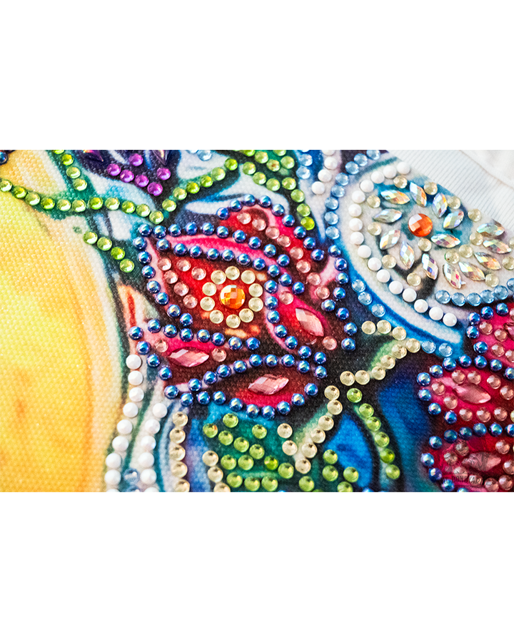 DragonflyClothedWithTheSun_Detail_7@0.3x.png
