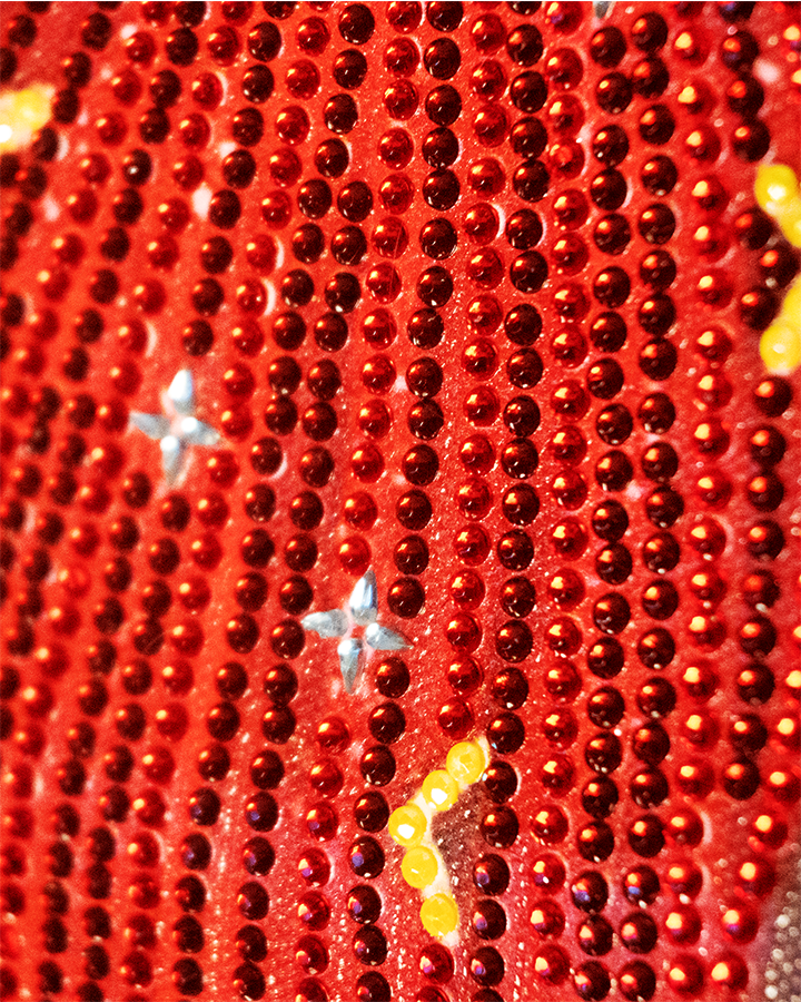 FancyLady_Shawl_Detail_2@0.3x.png