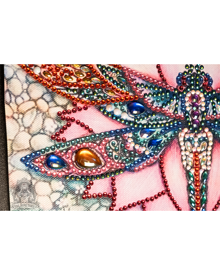 Kachi-mushi_Detail_5@0_.png