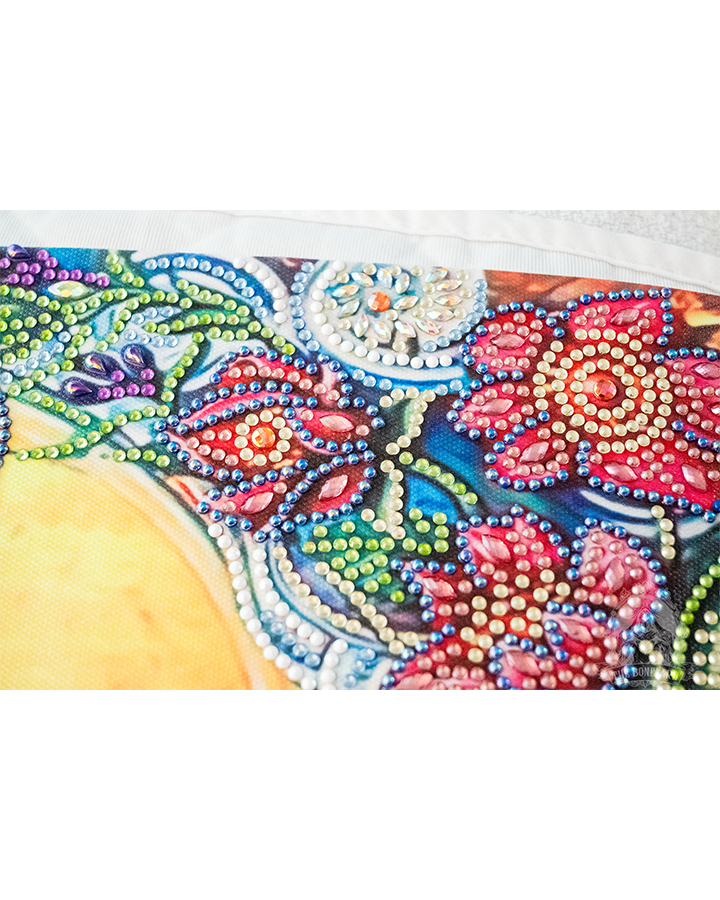 DragonflyClothedWithTheSun_Detail_6@0.3x.png