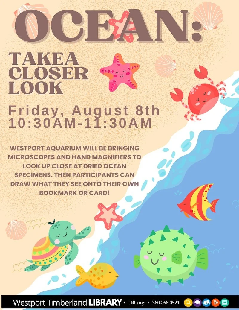 Ocean: Take a Closer Look