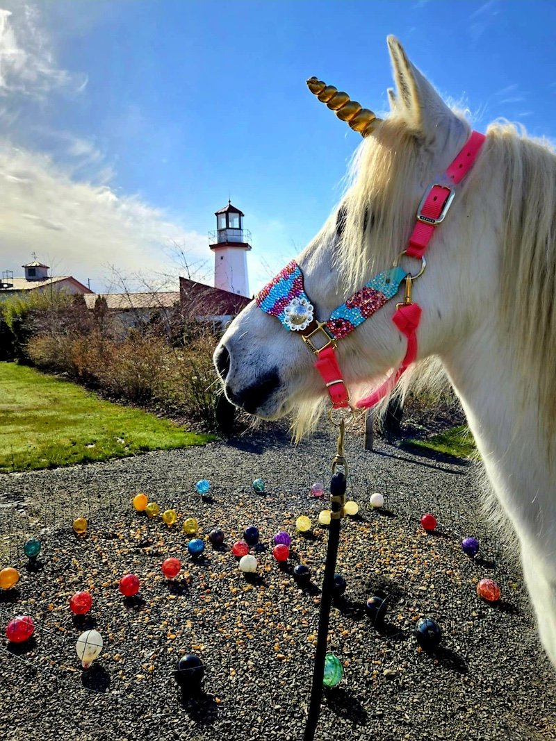 Mermaid Festival- Every Weekend in March