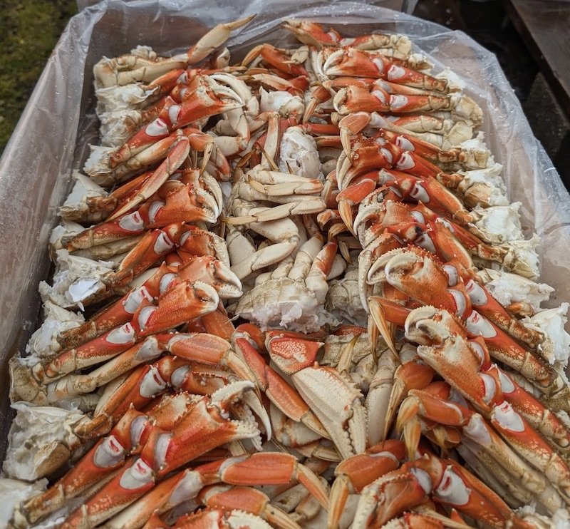 Photo of Dungeness Crab