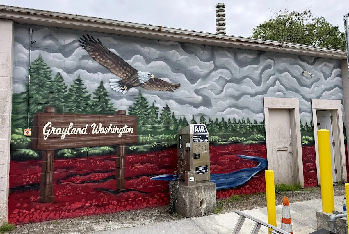 Local Store Mural photo by Coyote